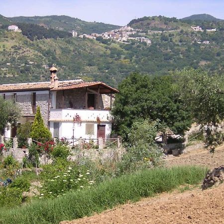 Agriturismo Acampora Villa Cerchiara di Calabria Buitenkant foto