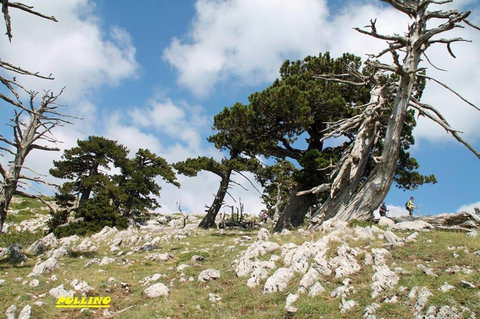 Agriturismo Acampora Villa Cerchiara di Calabria Buitenkant foto