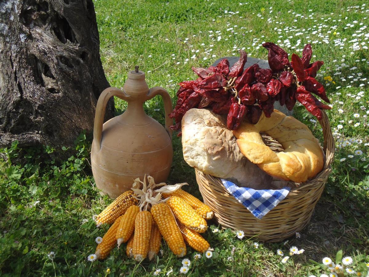 Agriturismo Acampora Villa Cerchiara di Calabria Buitenkant foto